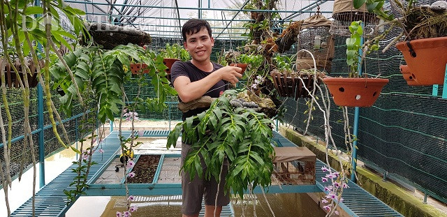 Tro thanh ty phu lan rung nho gio lan phi diep ban cho