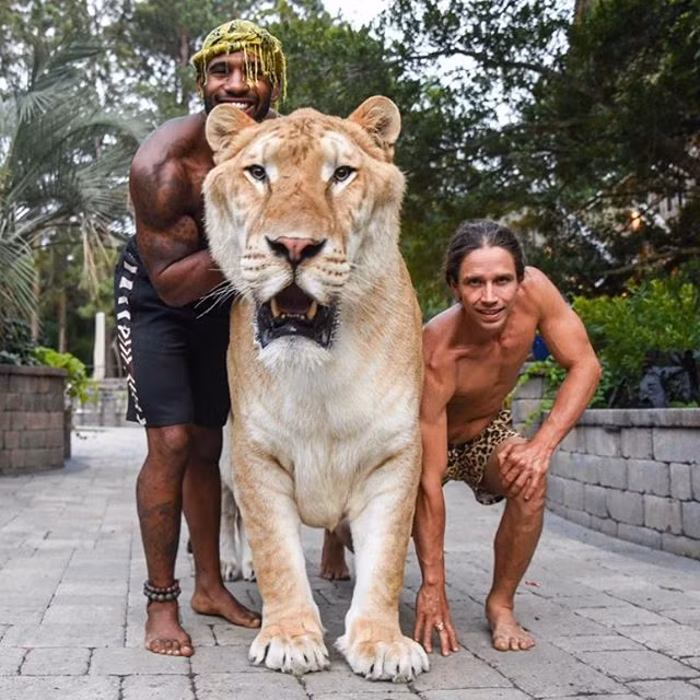 Su that xot xa phia sau quai vat lai su tu va ho-Hinh-2