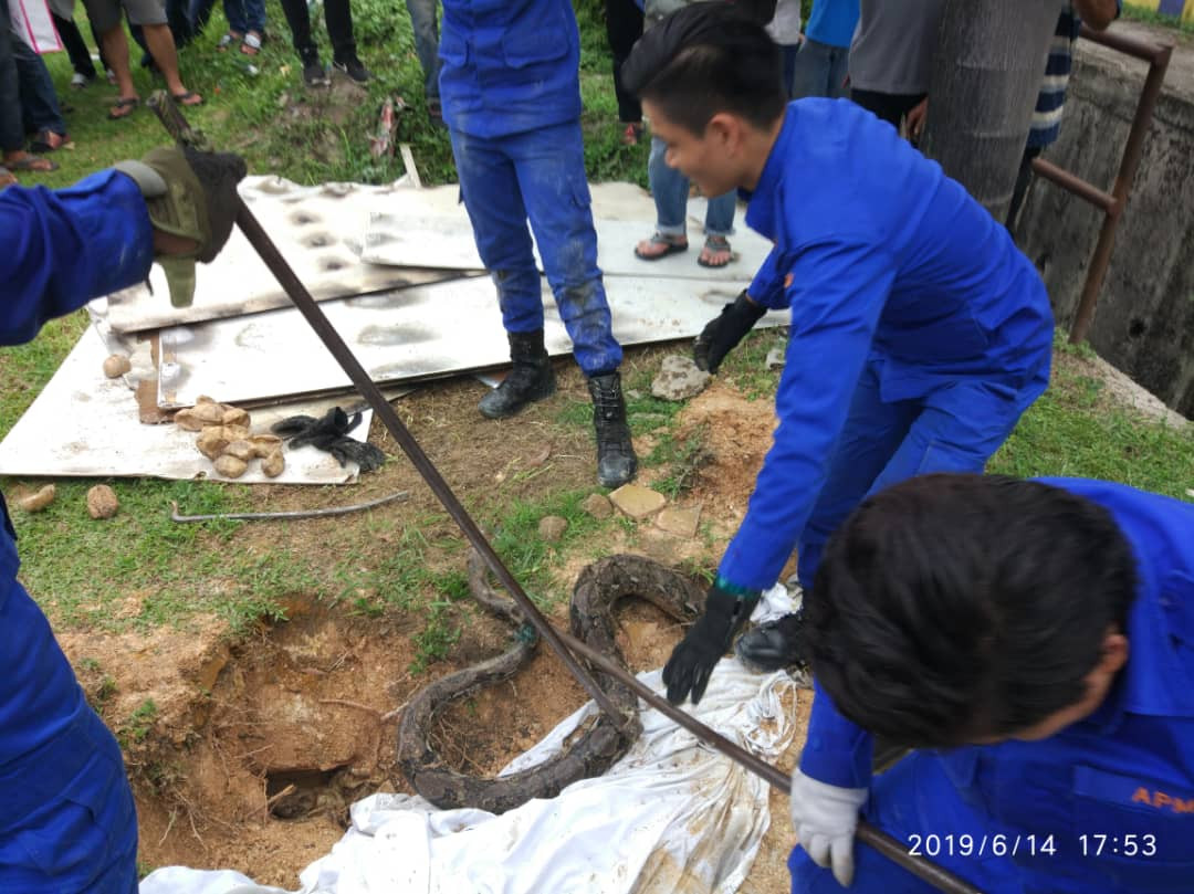 Thay tran khong lo lang vang vuon chung cu... ra su thuc 