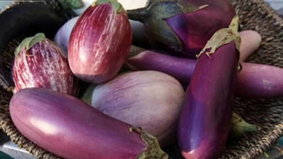 4 mon vua ngon vua bo, khong an la ban da song “phi ca doi”