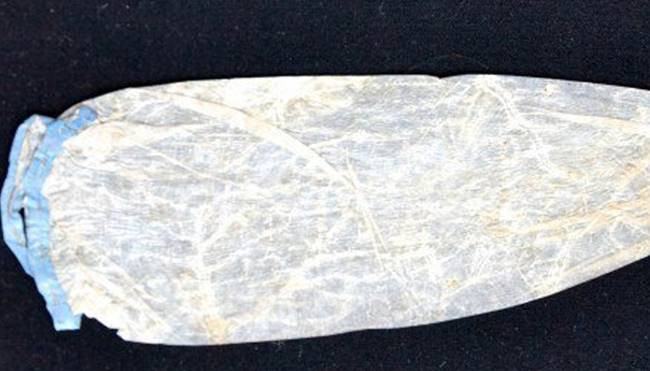 Tháng 2/2016, nó được đưa ra đấu giá. Người mua đã trả 463 bảng Anh (~17,3 triệu đồng) để mua bao cao su siêu hiếm này.