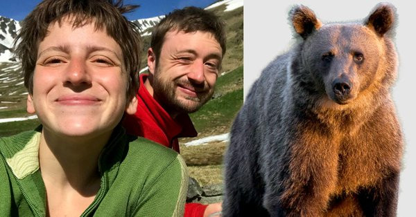 Bi gau hoang tan cong, nguoi dan ong song sot nho cach dac biet