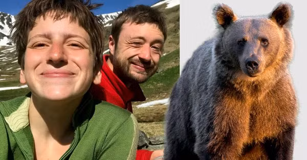 Bi gau hoang tan cong, nguoi dan ong song sot nho cach dac biet