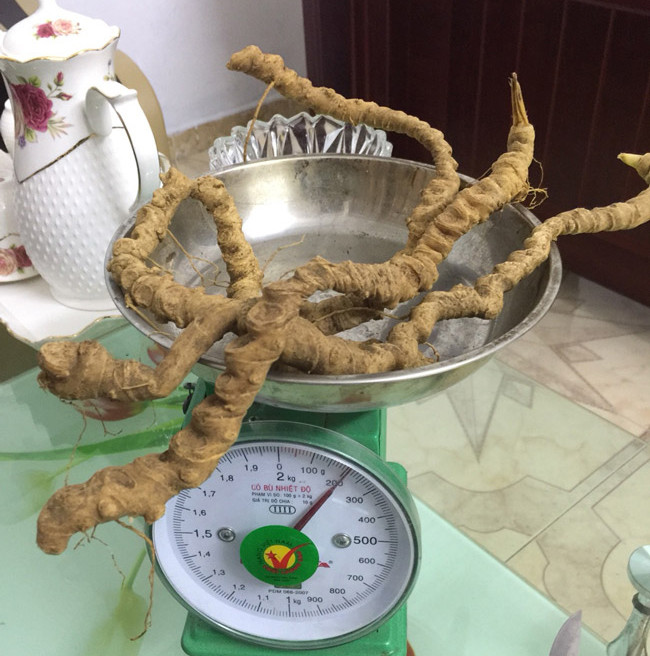 Choang bo suu tap nhan sam quy gia tien ty cua dai gia Ha thanh-Hinh-4