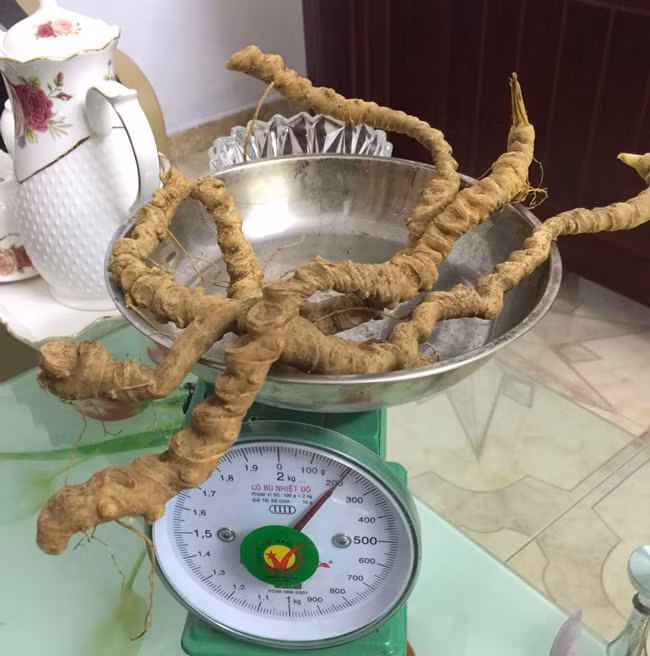 Choang bo suu tap nhan sam quy gia tien ty cua dai gia Ha thanh-Hinh-4