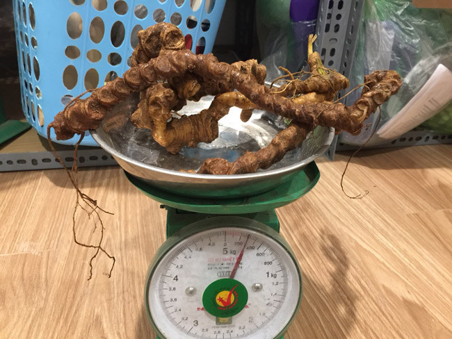 Choang bo suu tap nhan sam quy gia tien ty cua dai gia Ha thanh-Hinh-20