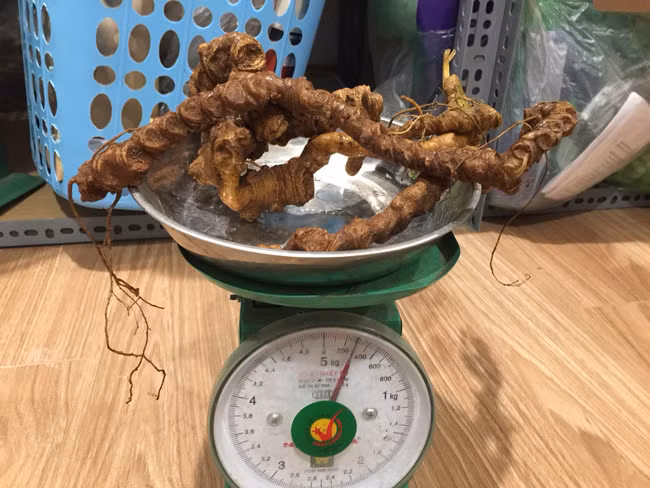 Choang bo suu tap nhan sam quy gia tien ty cua dai gia Ha thanh-Hinh-20