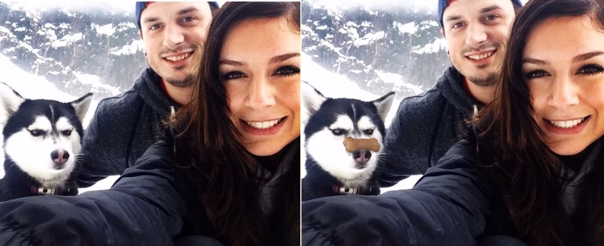 Khuôn mặt "thối" đầy biểu cảm của chú chó đã bị cư dân mạng chế thêm một khúc xương trên mũi. Bất kỳ ai nhìn vào đều không thể nhịn cười.