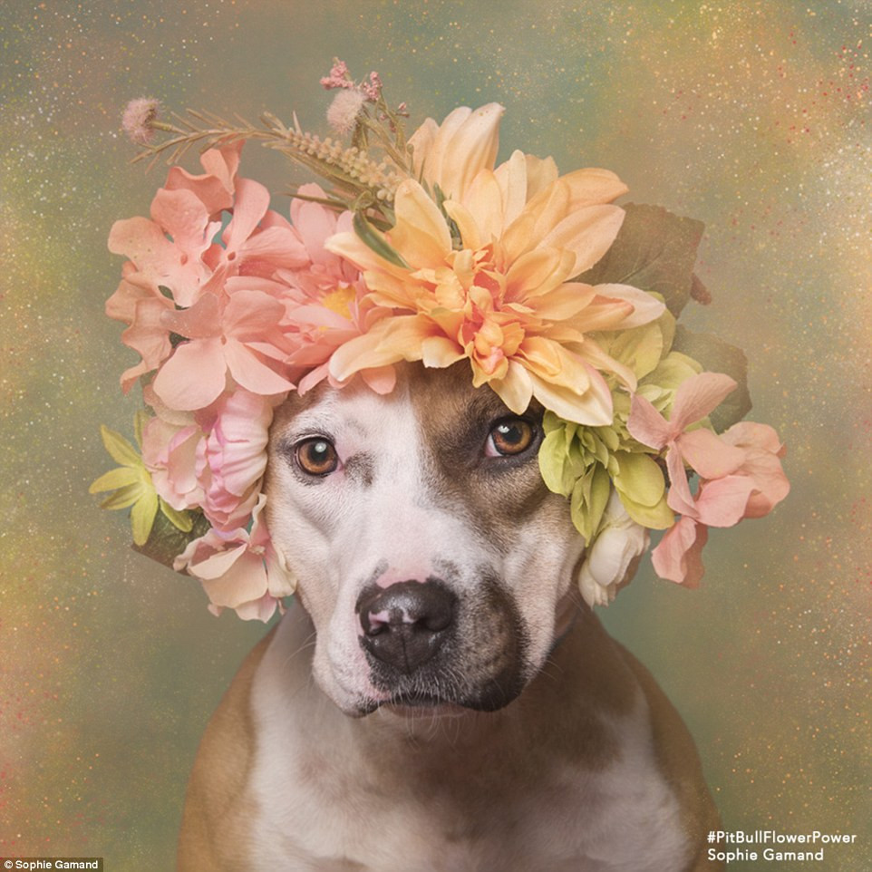 Xem thêm một số hình ảnh khác: