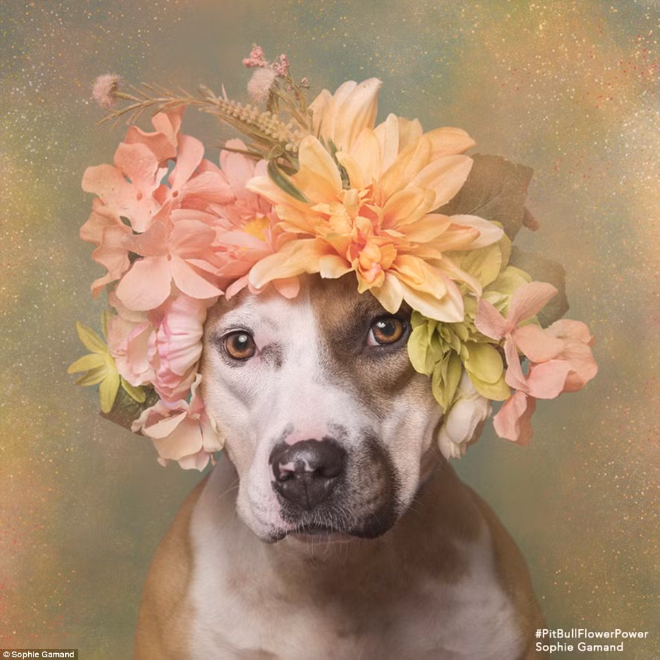 Xem thêm một số hình ảnh khác: