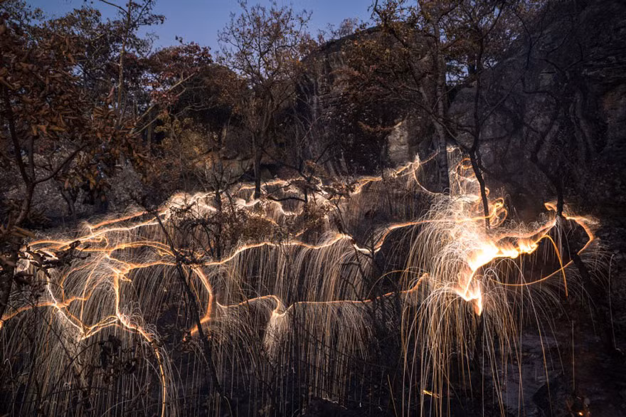 Những bức ảnh này là một sáng tạo không ngừng nghỉ của Vitor. Để cho ra đời một bức ảnh cây phát sáng đầy bí ẩn này, nhiếp ảnh gia đã phải rất vất vả đốt pháo hoa, căn ở một số vị trí nhất định, xử lý hậu kỳ, cuối cùng là chồng 12 bức ảnh lên nhau để tạo ra một bức ảnh hoàn chỉnh duy nhất.