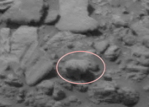 Hiện vật thể lạ có hình dạng động vật bốn chân đang gây nhiều chú ý và tranh cãi.