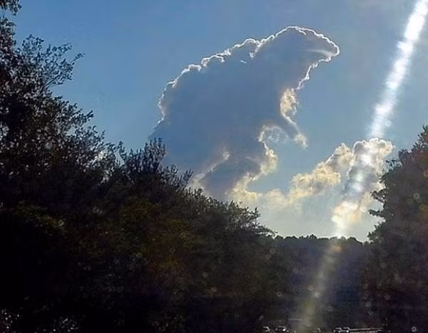 Tuy nhiên, theo giới khoa học, những phát hiện của các thợ săn UFO chỉ là kết quả hiện tượng Pareidolia. Hiện tượng này xảy ra khi một người nghĩ rằng mình đang thấy một khuôn mặt, suy nghĩ đó sẽ đánh thức một vùng não bộ chịu trách nhiệm phân tích và nhận diện khuôn mặt trong khi thực tế khuôn mặt không hề có thật. Đó cũng chỉ là hiện tượng xảy ra khi ta nhìn thấy hình một chú khủng long, hay ngựa, chó, mặt người khi ngắm những đám mây.