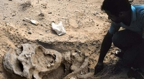 Các nhà nhân chủng học tin rằng đây là bộ xương của những người ngoài hành tinh. Họ đã hạ cánh xuống Trái đất và rất có thể đã bị nhiễm một số loại virus trên hành tinh của chúng ta mà không thể miễn dịch được. Họ bỏ mạng và được chôn cất. Tuy nhiên, các nhà khoa học lại không tìm được dấu vết cuộc đổ bộ của tàu vũ trụ hoặc các mảnh vỡ của nó.