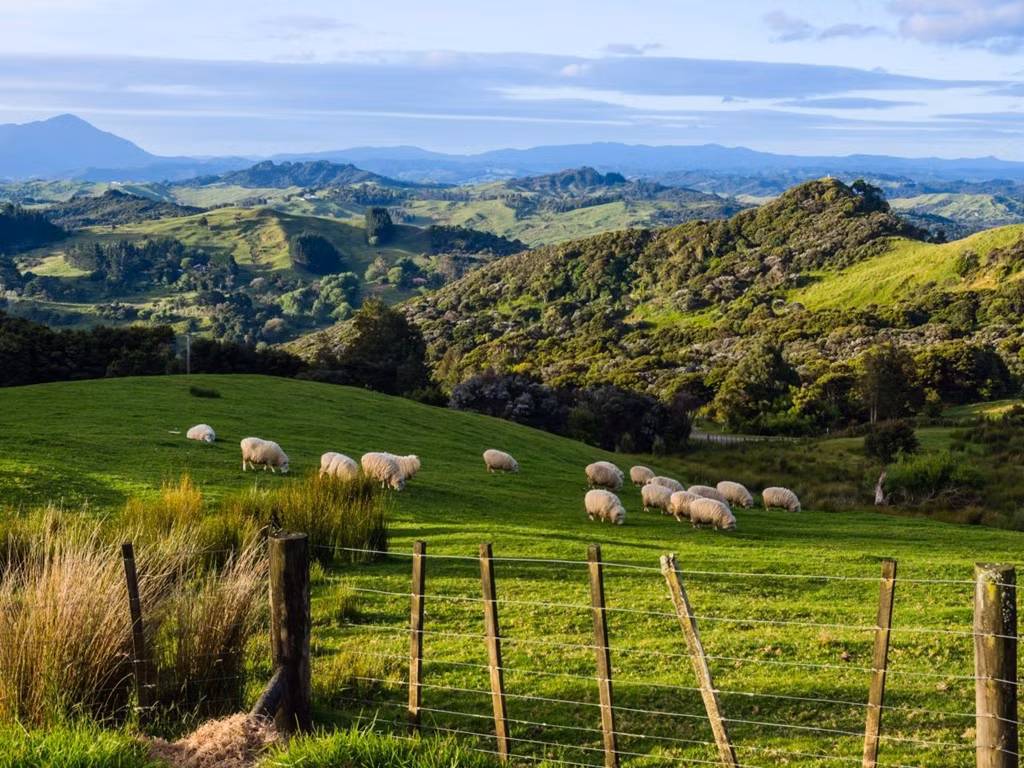  New Zealand: Đây là điểm đến dành cho những người yêu thích phiêu lưu. Bạn có thể tận hưởng cuộc sống không vướng bận ở một cabin không có điện trên đảo Great Barrier, đắm mình trong làn nước của suối Maruia, leo qua địa hình núi lửa của công viên quốc gia Tongariro hay câu cá ở Queenstown.