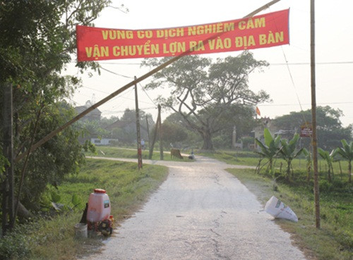 Nghe An cong bo dich heo tai xanh, huy 10 tan thit-Hinh-3