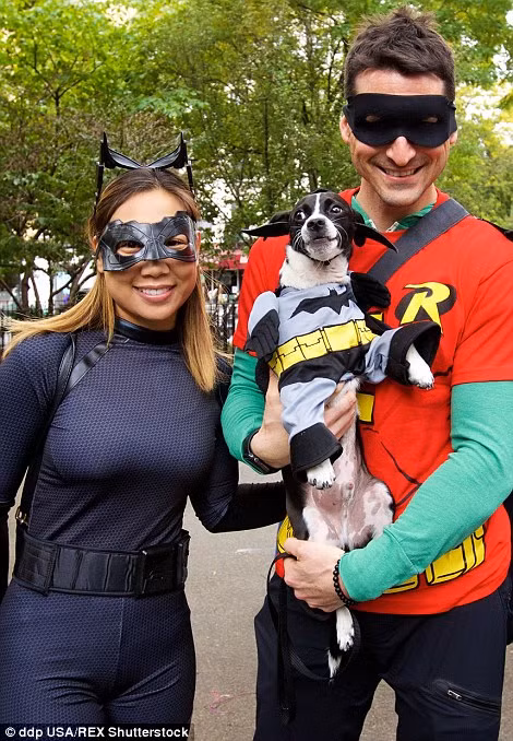 Khi cô chủ hóa thân thành người Mèo, chú chó này diện bồ đồ người Dơi để không kém phần tương xứng.