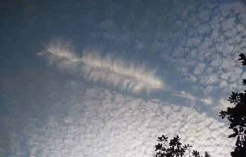 Vào buổi chiều nắng nhẹ, bầu trời thành phố Tín Dương trong xanh được trải một lớp mây bông đẹp kỳ lạ, bỗng nhiên những đám mây lông vũ xuất hiện tuyệt đẹp điểm xuyết, xen kẽ rất ấn tượng.