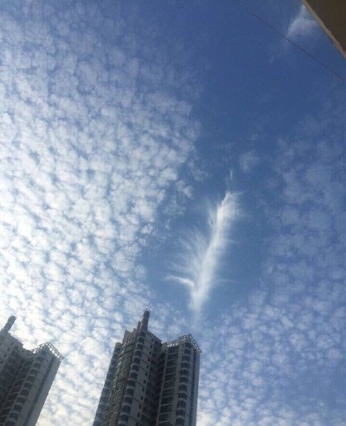 Xem thêm một số hình ảnh mây lông vũ hiếm gặp xuất hiện trên bầu trời Hà Nam, Trung Quốc.