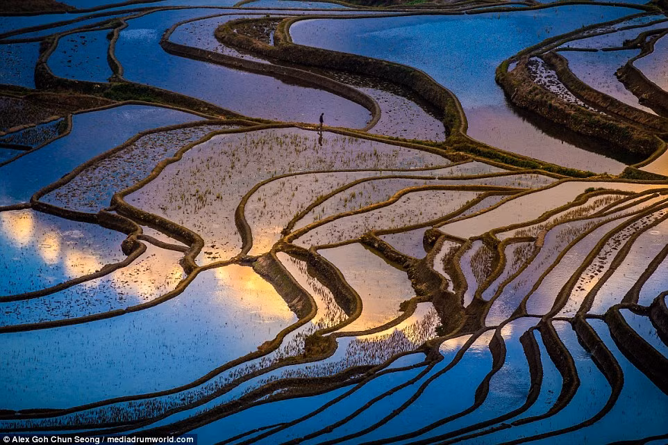 Chăm chú nhìn kỹ hơn, có thể thấy một người nông dân đang bước đi giữa vùng đất ngàn gương, hình ảnh phản chiếu bóng hình nhỏ bé tạo nên sự tương phản ấn tượng với không gian rộng lớn.