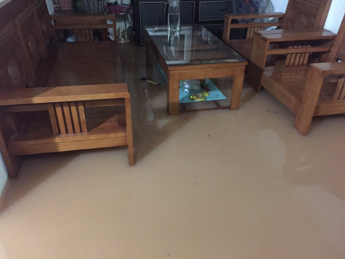 Ngập cả phòng khách.