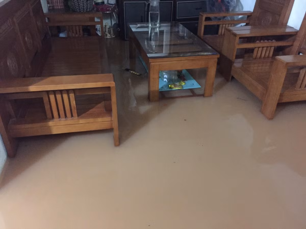 Ngập cả phòng khách.