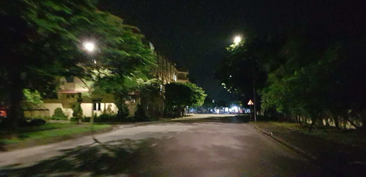 Chỉ có hàng cây lặng yên và bóng đèn leo lét sáng.