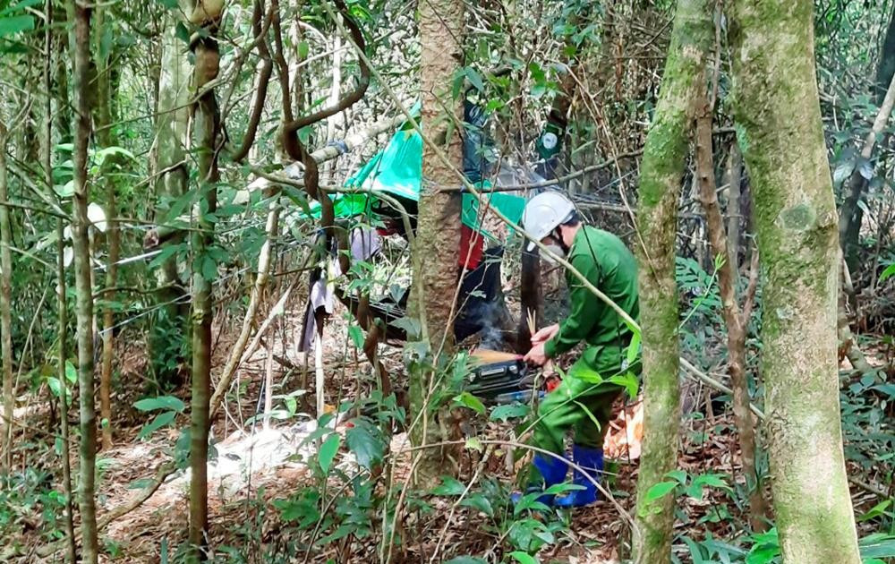 Trung tuần tháng 5/2004, người dân quanh khu vực bảo tồn thiên nhiên Ea Sô, huyện Ea Kar, tỉnh Đắk Lắk phát hiện một xác chết đang phân huỷ. Nạn nhân được xác định là Nguyễn Văn L. (SN 1977, trú tại khố 12 thị trấn Ea K nốp, huyện Ea Kar, tỉnh Đắk Lắk). Trên người nạn nhân có nhiều dấu vết của sự tấn công mạnh từ phía sau, đặc biệt vùng đầu, mặt bị dập, xương sọ và xương hàm vỡ phức tạp. Chiếc xe máy của nạn nhân không cánh mà bay. (Ảnh minh họa, nguồn internet) 