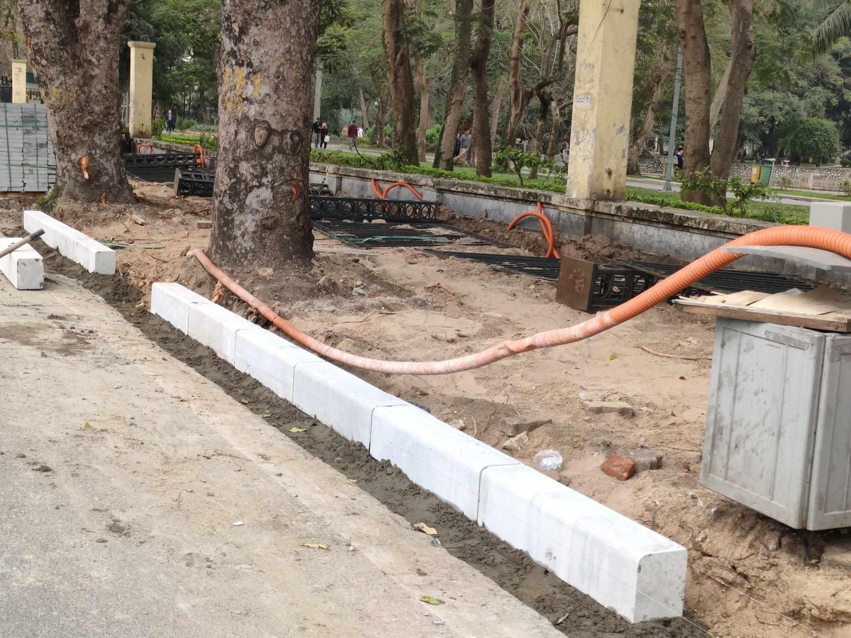 Từ 1/1/2024, Thành ủy Hà Nội phân cấp 5 công viên, vườn hoa (cả hồ nước trong công viên, vườn hoa), gồm: Tuổi trẻ, Bách Thảo, Lê Nin, Thống Nhất, Hòa Bình cho các quận: Ba Đình, Hai Bà Trưng, Bắc Từ Liêm quản lý, duy trì, chăm sóc theo địa giới hành chính. 