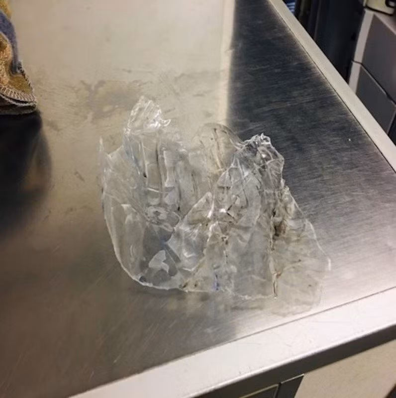 Gia tang vat the la tai san bay, Cuc Hang khong yeu cau kiem soat nghiem-Hinh-3