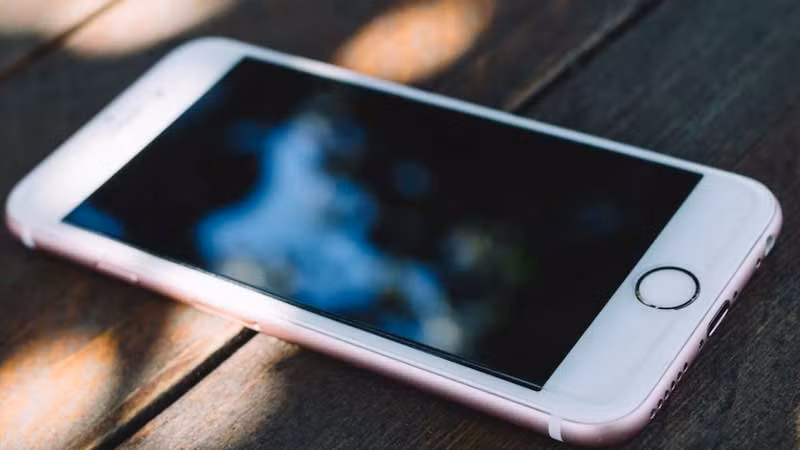 Từ những thông tin mới thu thập về đối tượng nghi vấn, đánh giá về hướng di chuyển của Thắng sau khi vụ án xảy ra có thể về khu đầm nhà hắn, Ban Chuyên án đã chỉ đạo lực lượng khoanh vùng và truy tìm. Kết quả: phát hiện và thu giữ tại khu vực này chiếc ĐTDĐ của nạn nhân P.T.M.M.. Căn cứ tài liệu điều tra, ngày 27/3/2020, Ban Chuyên án 203G đã ra quyết định phá án, ra Lệnh giữ người trong trường hợp khẩn cấp đối với Nguyễn Sỹ Thắng. (Ảnh minh họa, nguồn Internet) 