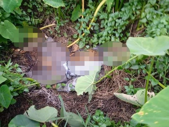 Bộ xương người trong nhà vệ sinh ở Tiền Giang: Điểm loạt “phát hiện” kinh hoàng - Hình 2 Bo xuong nguoi trong nha ve sinh o Tien Giang: Diem loat “phat hien” kinh hoang-Hinh-2