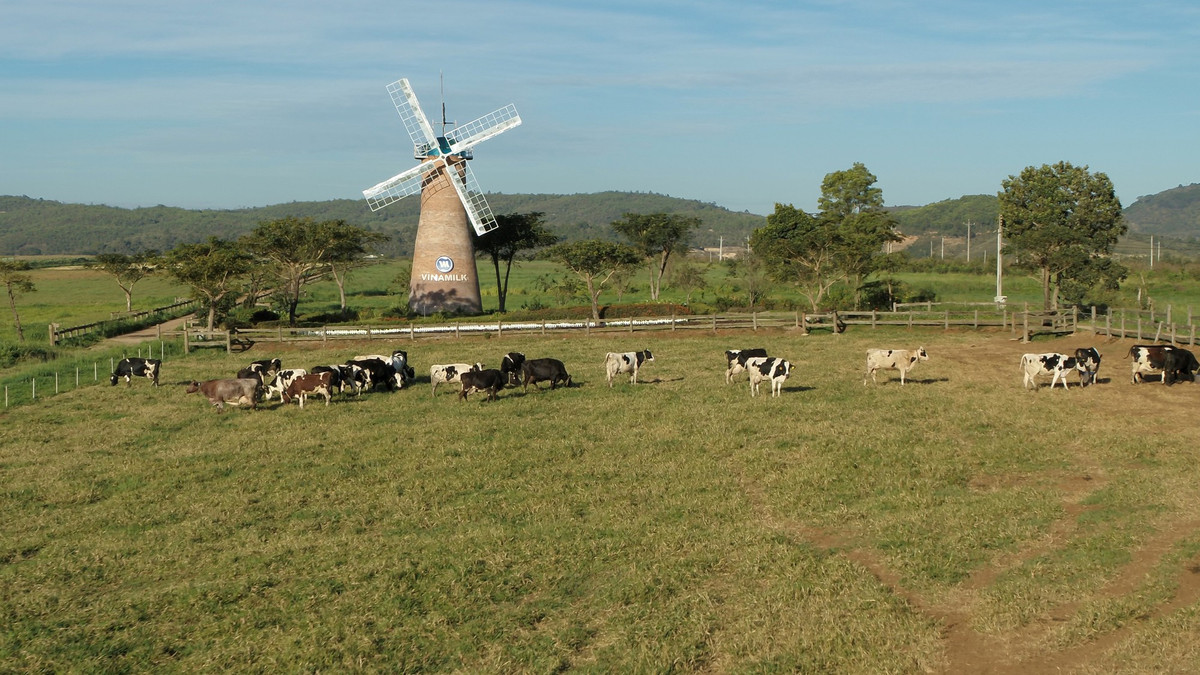 Cac quy dau tu tien phong tim kiem co hoi dau tu ESG tai Viet Nam-Hinh-5