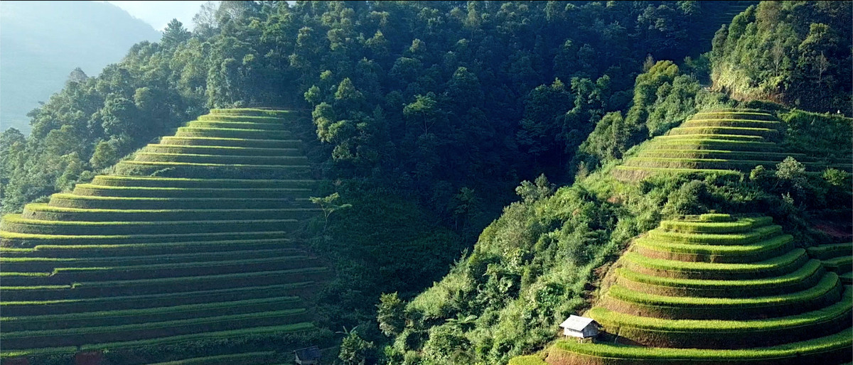 Bi mat dang sau TVC VinFast dang gay sot tren CNN-Hinh-3