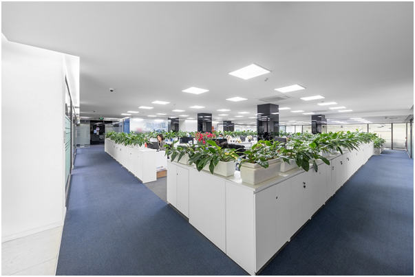 Van phong lam viec dam chat nghe thuat trong phim “Huong duong nguoc nang”-Hinh-4