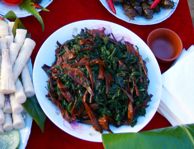 Món lá ngón xào tỏi thậm chí luôn có mặt trong lễ hội Kin Lẩu Khẩu Mẩu của người Thái Mường So vào ngày xuân. Ảnh: blogspot.