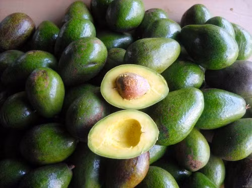 Quả bơ là một trong những “siêu” thực phẩm nhờ có đầy đủ hai chất dinh dưỡng hỗ trợ giảm béo mặt là chất xơ và chất béo không bão hòa đơn. Ảnh: baogialai.