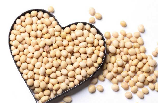 Đậu nành chứa isoflavone, đã được chứng minh là cải thiện nếp nhăn, độ đàn hồi của da cũng như bảo vệ làn da của bạn khỏi tác hại của tia cực tím. Ảnh: vocarimex.