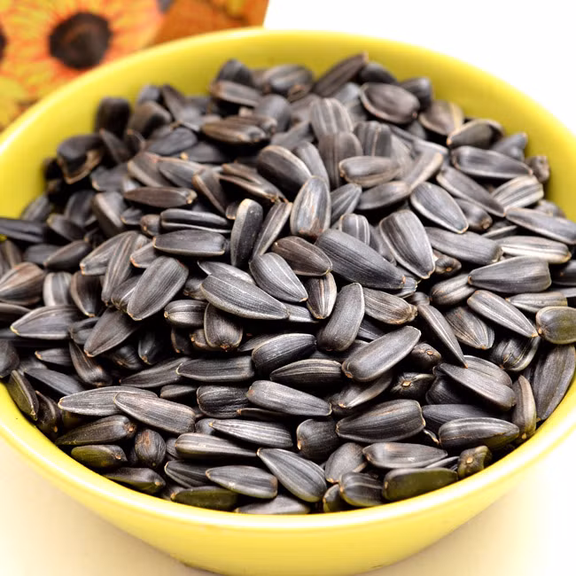 Hạt hướng dương chứa nhiều vitamin E - một chất chống oxy hóa quan trọng cho da. Ảnh: muanhanhtainha.