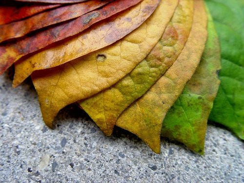 LẦM TƯỞNG: Cần phải thay mới các sản phẩm chăm sóc da mỗi khi đổi mùa. SỰ THẬT: Theo chuyên gia thẩm mỹ của Shani Darden, nếu bạn đã biết lựa chọn các sản phẩm phù hợp với loại da của mình thì sẽ không cần quá chú ý tới sự thay đối này. Tuy nhiên, vào mùa hè, bạn vẫn nên chuyển sang dùng các loại kem dưỡng ẩm cho da nhẹ nhàng hơn.