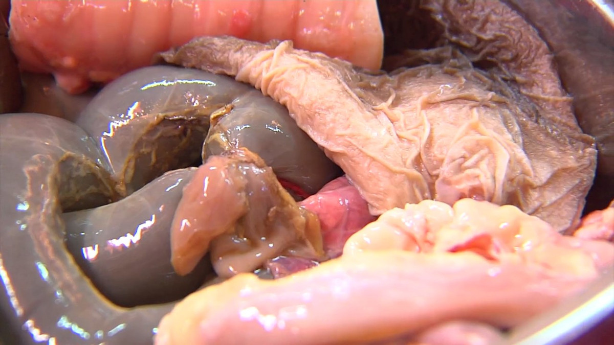 Nậm pịa được xem là một món ăn tuyệt vời, hội tụ tinh hoa ẩm thực núi rừng vùng cao. Ảnh: ytimg.