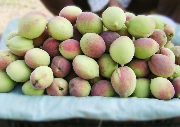 Một số loại trái cây như đào, lê, mận, các loại trái cây sấy khô cũng nên tránh vì chúng sẽ làm bạn bị đầy hơi và làm nặng hơn bệnh tiêu chảy. Ảnh: chiecthiavang.