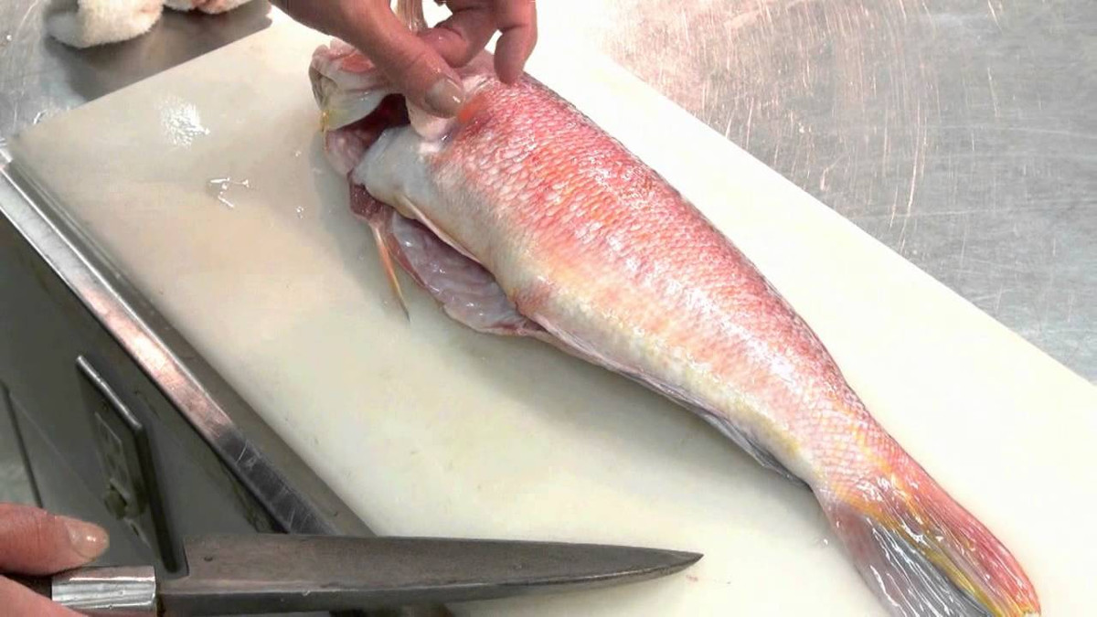 Cá tilefish chứa trung bình 219 microgam thủy ngân. Ảnh: ytimg.