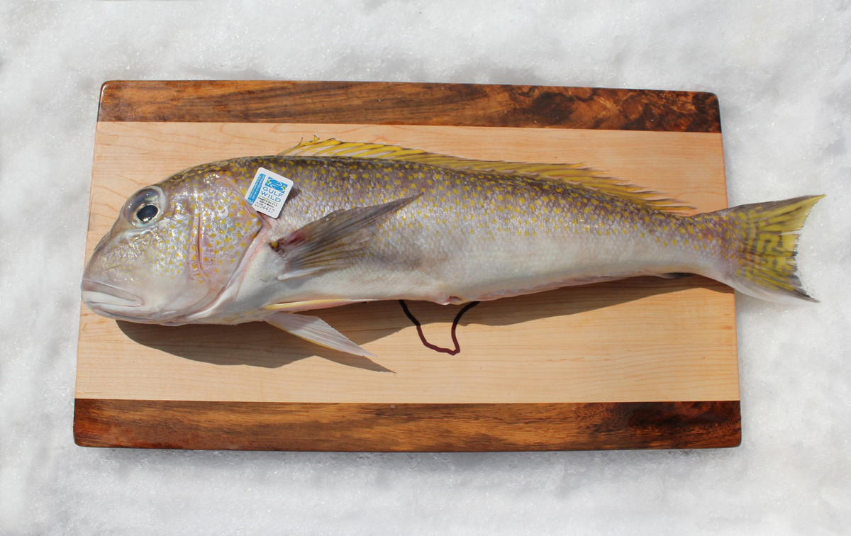 Cá tilefish có nguồn gốc từ Vịnh Mexico, đứng đầu danh sách các loại hải sản bị nhiễm thủy ngân. Ảnh: shopify.