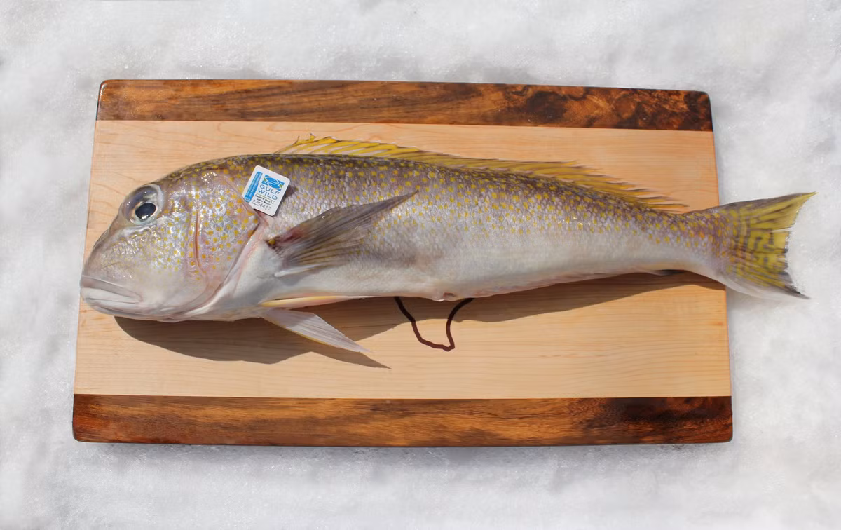 Cá tilefish có nguồn gốc từ Vịnh Mexico, đứng đầu danh sách các loại hải sản bị nhiễm thủy ngân. Ảnh: shopify.