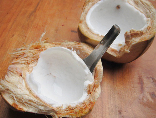 Các hợp chất phenolic chính được xác định có trong cùi dừa bao gồm axit gallic, axit caffeic, axit salicylic và axit p-coumaric. Ảnh: cooky.