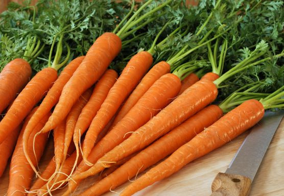 Ngoài ra, beta carotene có trong cà rốt còn giúp giảm độ nhạy cảm với ánh nắng mặt trời ở một số người. Ảnh: dietadukan.