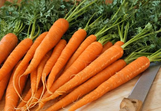 Ngoài ra, beta carotene có trong cà rốt còn giúp giảm độ nhạy cảm với ánh nắng mặt trời ở một số người. Ảnh: dietadukan.