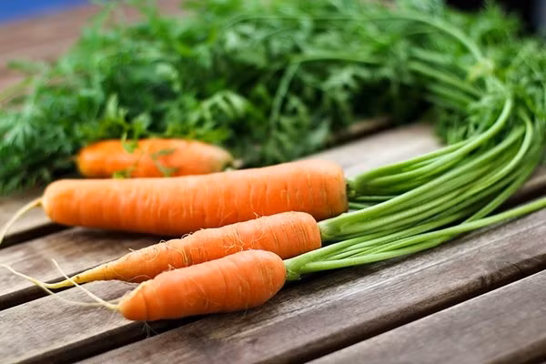 Bạn đã biết cà rốt tốt cho đôi mắt của bạn nhưng bạn có biết cà rốt cũng có thể làm nên điều kỳ diệu cho sức khỏe làn da của bạn không? Ảnh: vietnammoi.