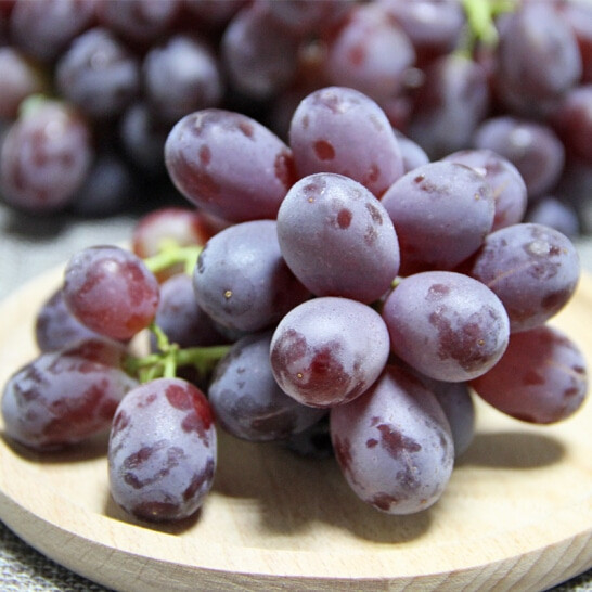 Nho đỏ không chỉ ngon mà còn cung cấp một loạt chất dinh dưỡng như vitamin C, flavonoid có tác dụng giảm viêm. Ảnh: vinfruits.